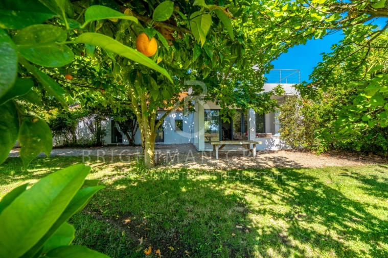 Quinta T12 para Venda em Canha Foto 9