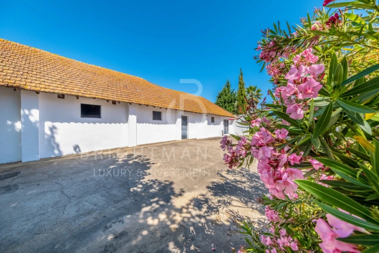 Quinta T12 para Venda em Canha Foto 26