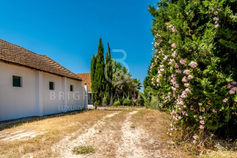 Quinta T12 para Venda em Canha Foto 27