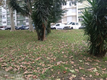 Apartamento T2 para Venda em Benfica