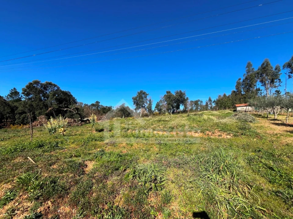 Moradia T8 para Venda em Figueiró dos Vinhos e Bairradas Foto 32