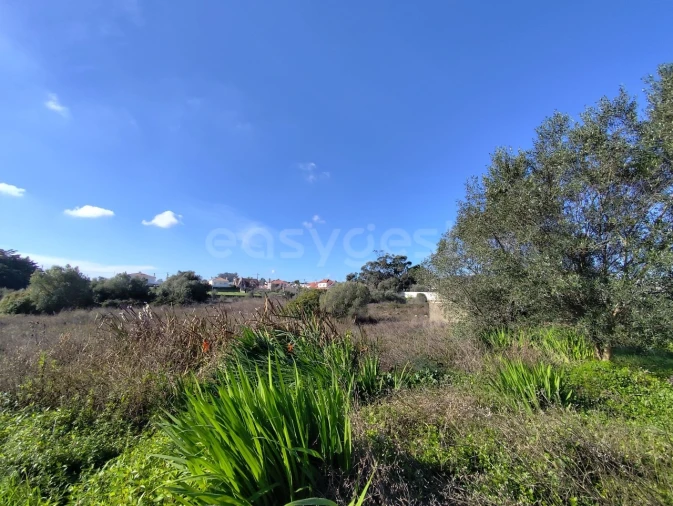 Terreno para Venda em Rio de Mouro Foto 2