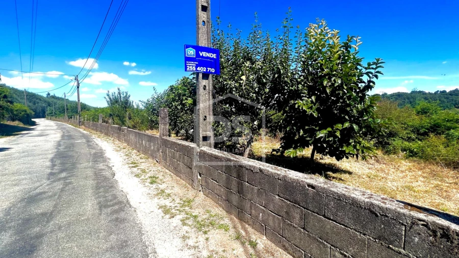 Terreno para Venda em Pedreira, Rande e Sernande Foto 5