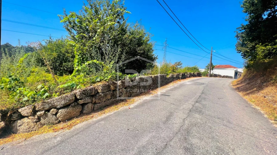 Terreno para Venda em Cristelos, Boim e Ordem Foto 5