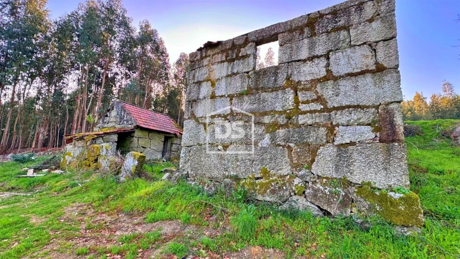 Terreno para Venda em Vila Boa de Quires e Maureles Foto 3