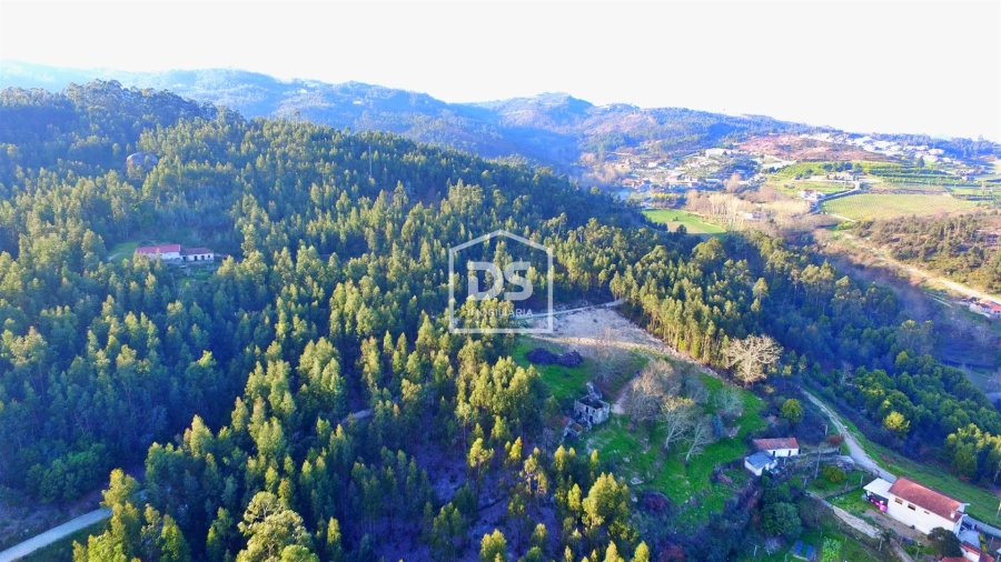 Terreno para Venda em Vila Boa de Quires e Maureles Foto 5