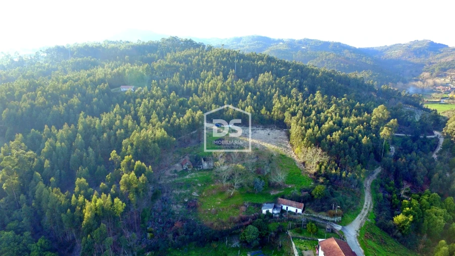 Terreno para Venda em Vila Boa de Quires e Maureles Foto 9