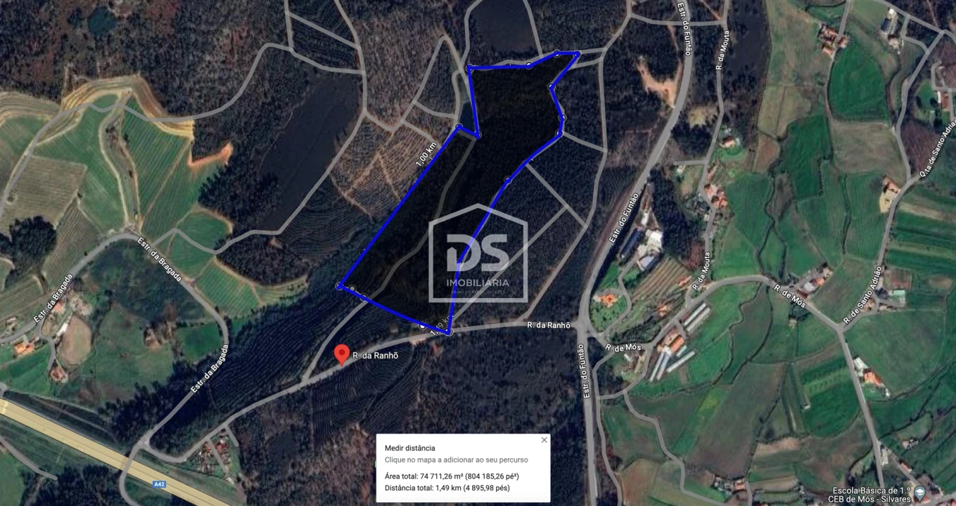 Terreno Agricola ou Rústico para Venda em Cristelos, Boim e Ordem Foto 1