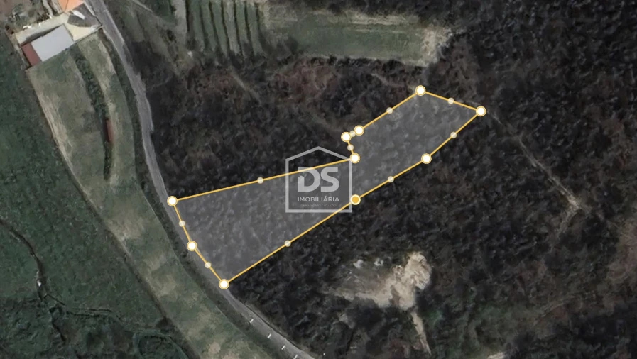 Terreno Agricola ou Rústico para Venda em Idães Foto 1