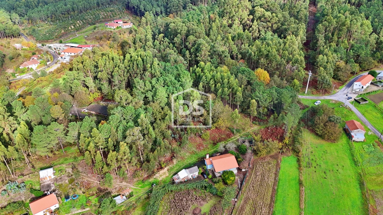 Terreno Agricola ou Rústico para Venda em Agilde Foto 8
