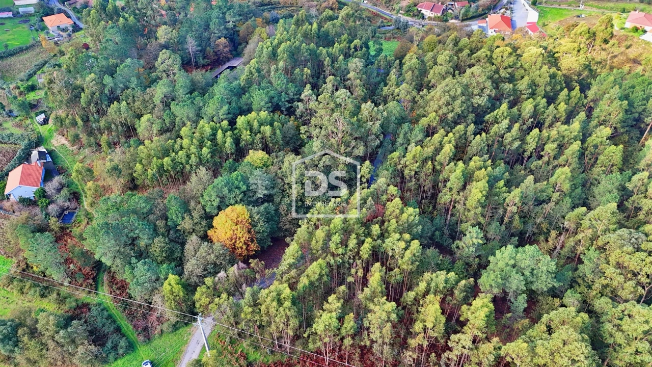 Terreno Agricola ou Rústico para Venda em Agilde Foto 18