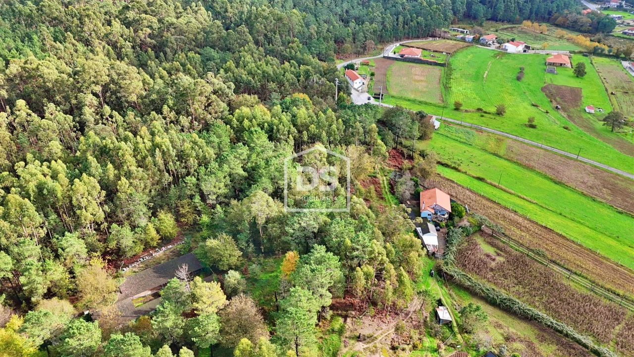 Terreno Agricola ou Rústico para Venda em Agilde Foto 9