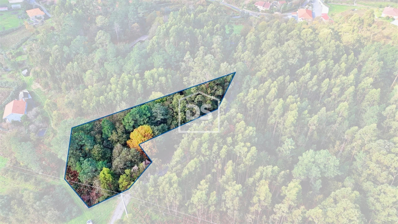 Terreno Agricola ou Rústico para Venda em Agilde Foto 1