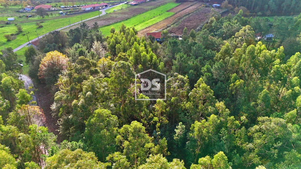 Terreno Agricola ou Rústico para Venda em Agilde Foto 14