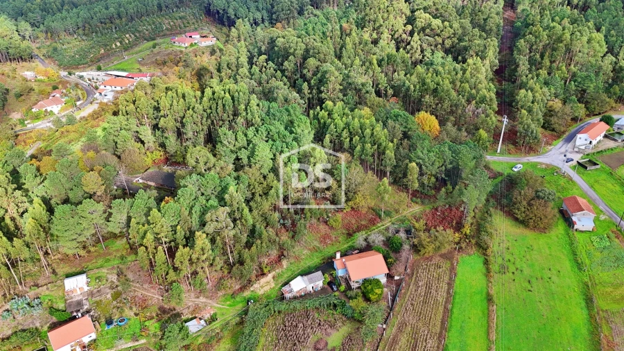 Terreno Agricola ou Rústico para Venda em Agilde Foto 8