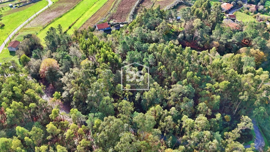 Terreno Agricola ou Rústico para Venda em Agilde Foto 11