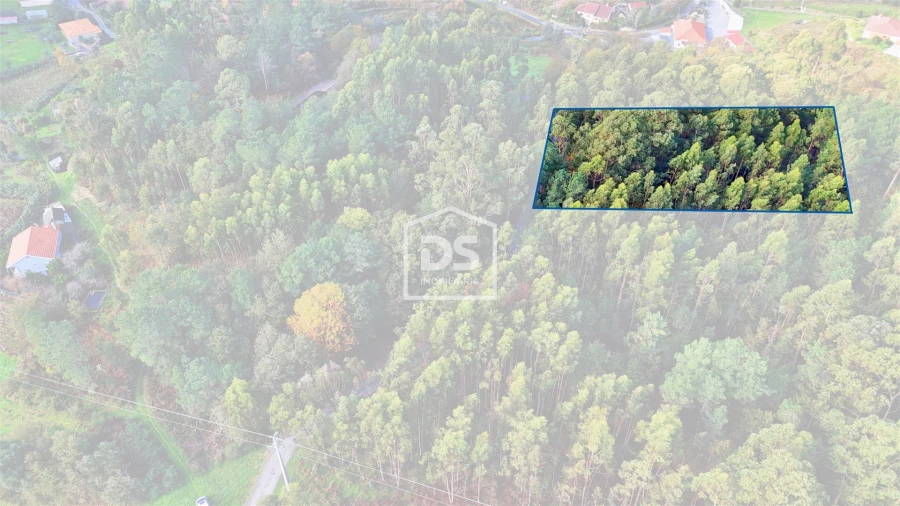 Terreno Agricola ou Rústico para Venda em Agilde Foto 3