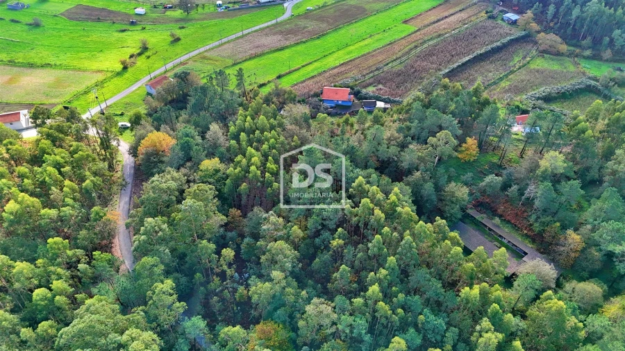 Terreno Agricola ou Rústico para Venda em Agilde Foto 17