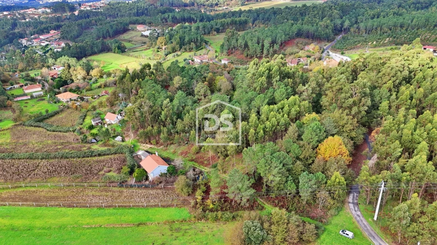 Terreno Agricola ou Rústico para Venda em Agilde Foto 5