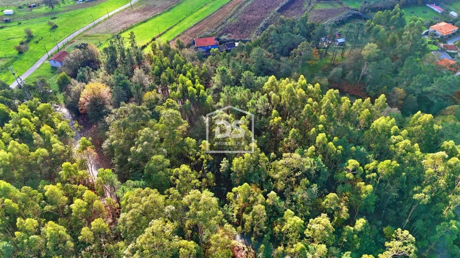 Terreno Agricola ou Rústico para Venda em Agilde Foto 15