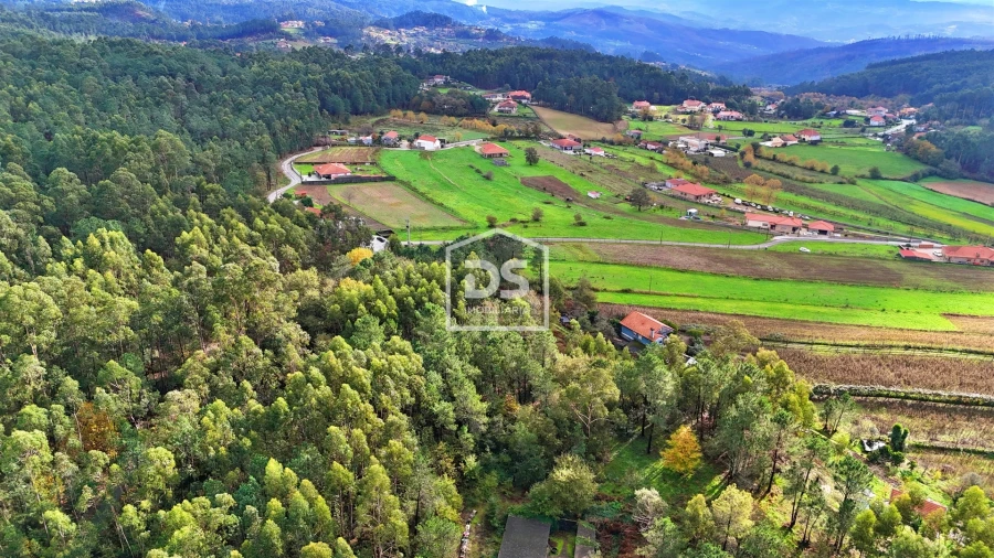 Terreno Agricola ou Rústico para Venda em Agilde Foto 10