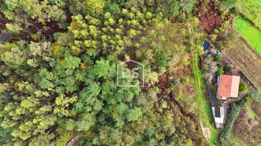 Terreno Agricola ou Rústico para Venda em Agilde Foto 6