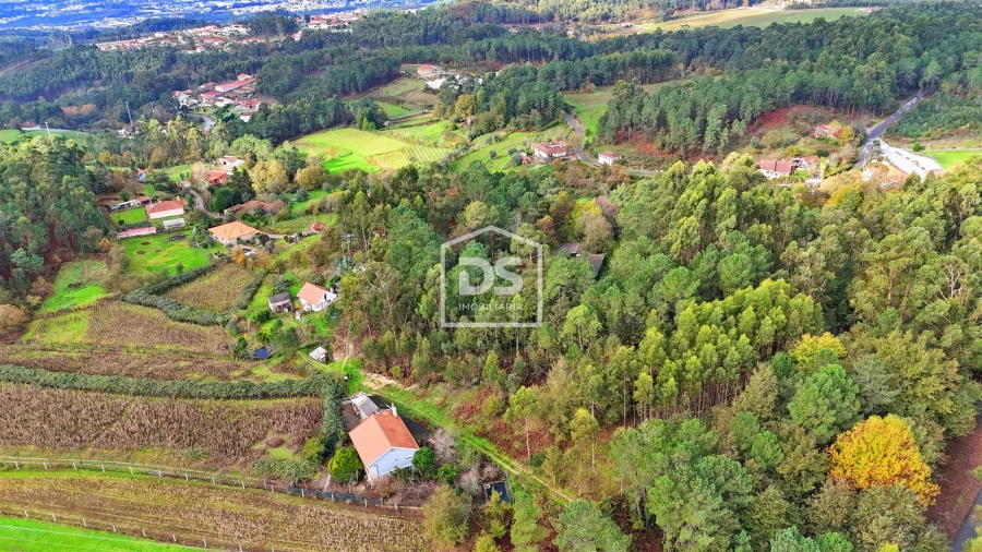 Terreno Agricola ou Rústico para Venda em Agilde Foto 4