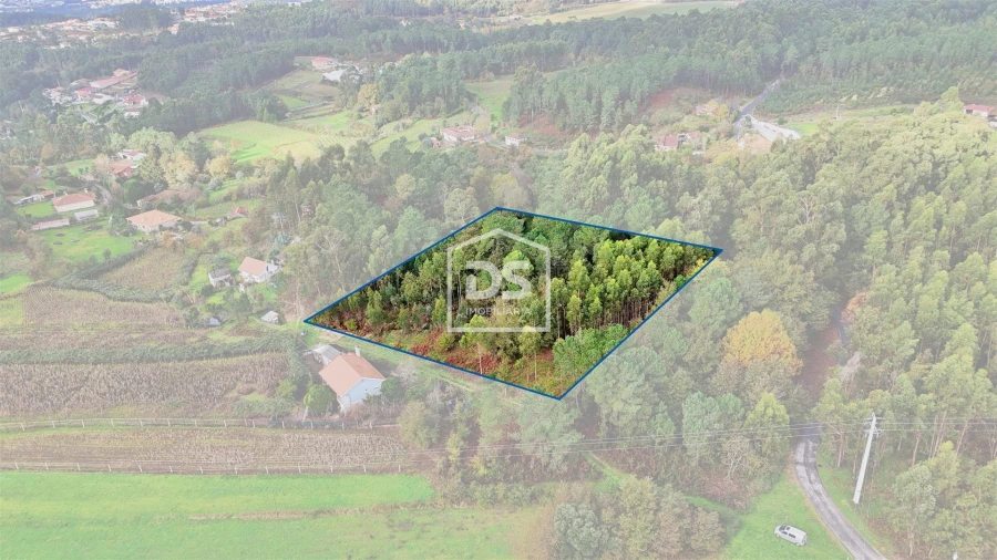 Terreno Agricola ou Rústico para Venda em Agilde Foto 2