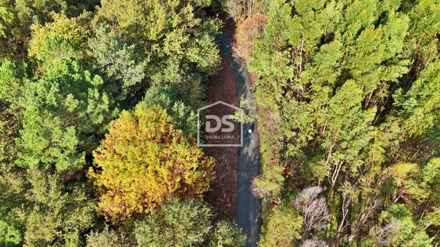 Terreno Agricola ou Rústico para Venda em Agilde Foto 13