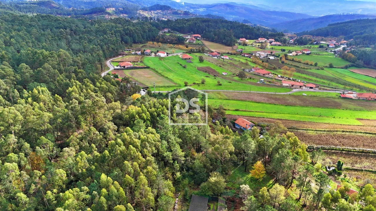 Terreno Agricola ou Rústico para Venda em Agilde Foto 10
