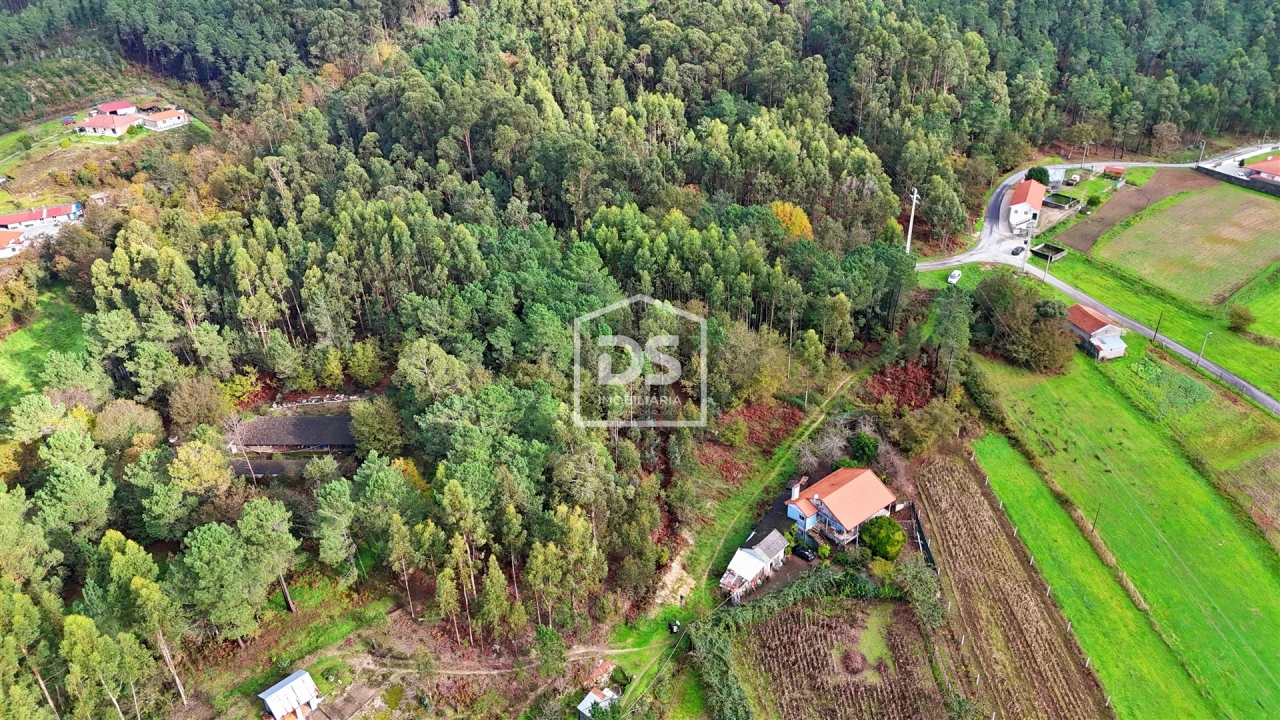 Terreno Agricola ou Rústico para Venda em Agilde Foto 7