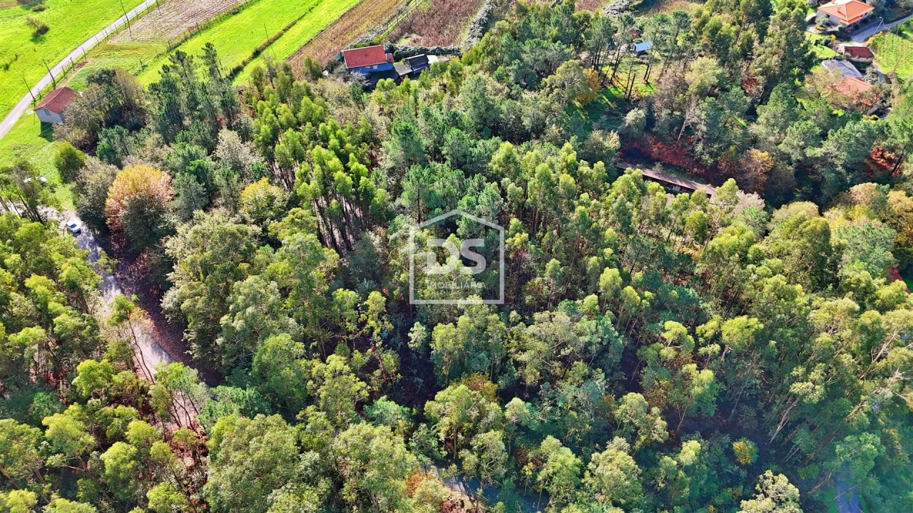Terreno Agricola ou Rústico para Venda em Agilde Foto 12