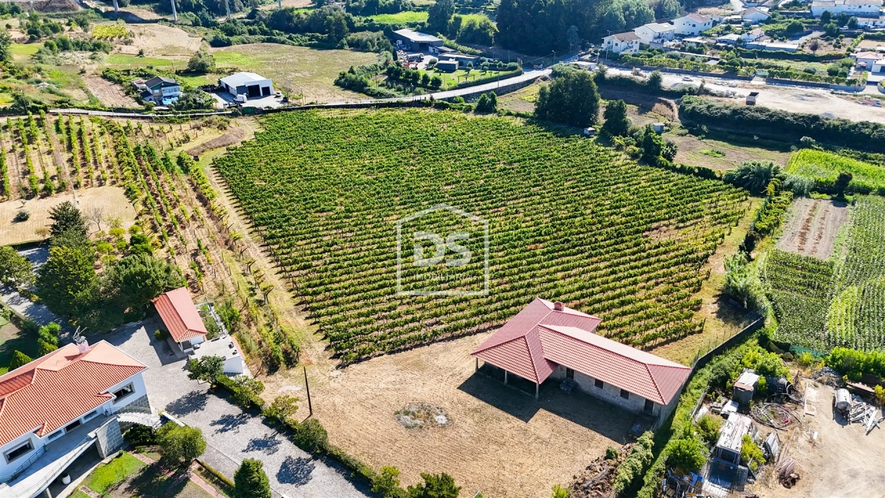 Quinta T9 para Venda em Penafiel Foto 3