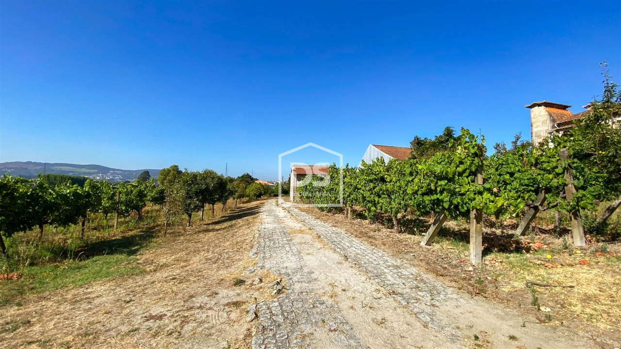 Quinta T9 para Venda em Penafiel Foto 63