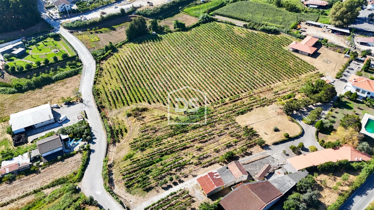 Quinta T9 para Venda em Penafiel Foto 5