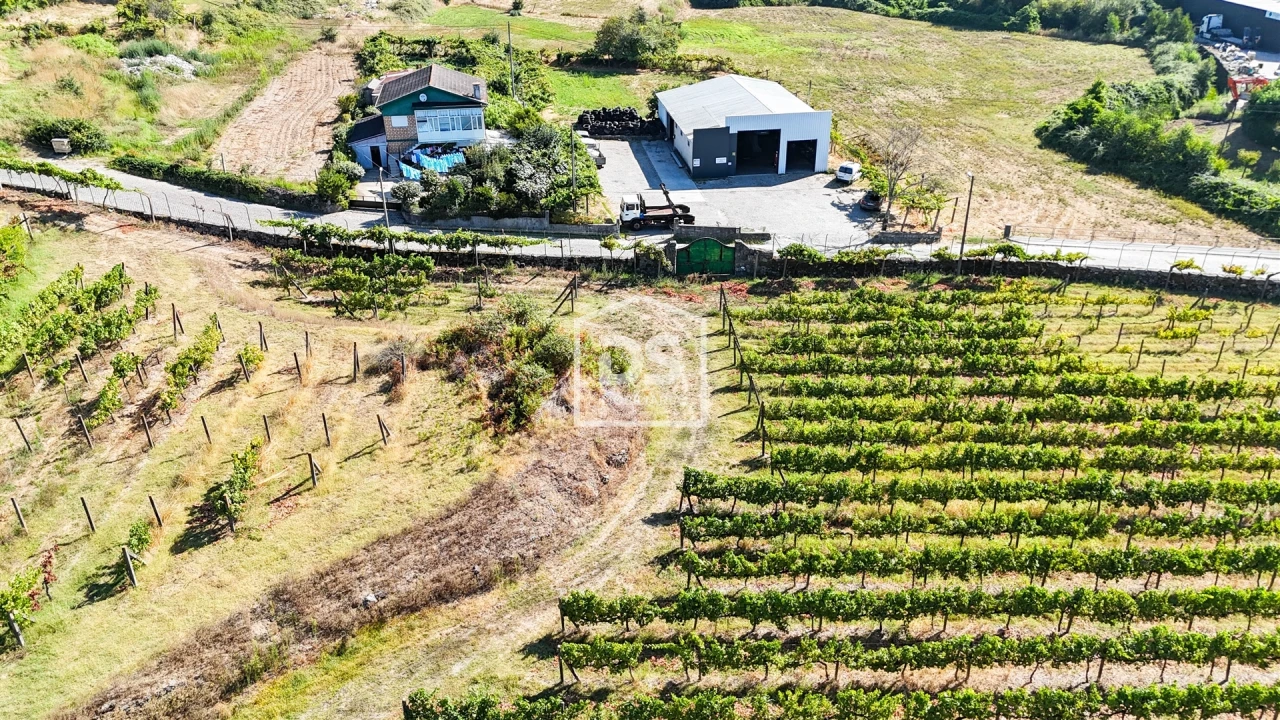 Quinta T9 para Venda em Penafiel Foto 11