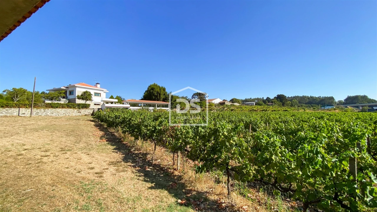 Quinta T9 para Venda em Penafiel Foto 75