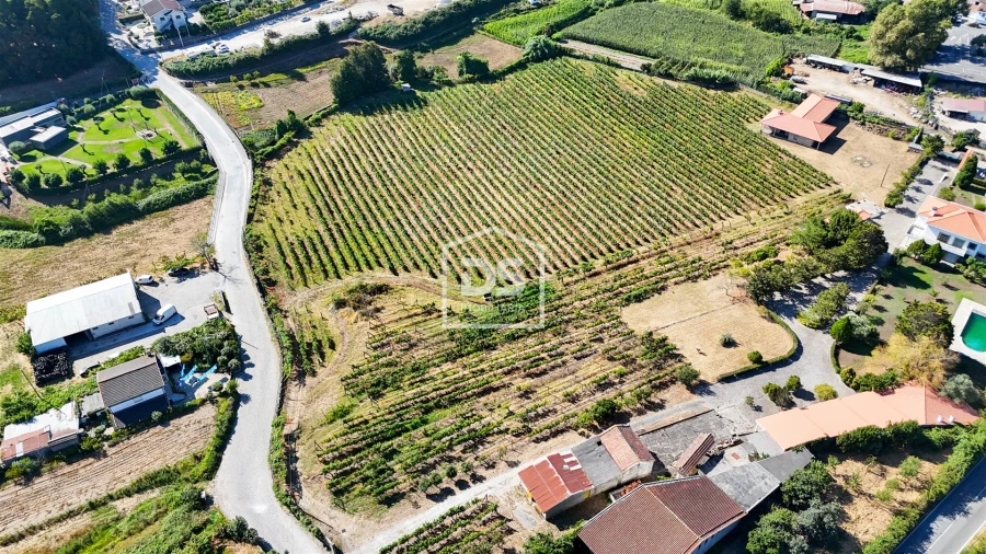 Quinta T9 para Venda em Penafiel Foto 5