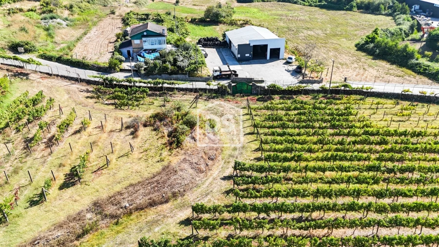 Quinta T9 para Venda em Penafiel Foto 11