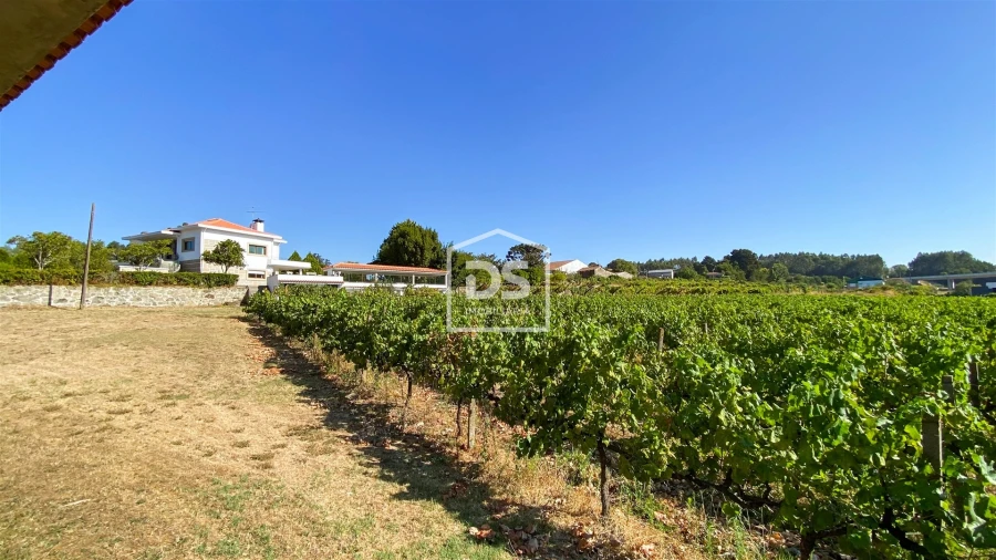 Quinta T9 para Venda em Penafiel Foto 75
