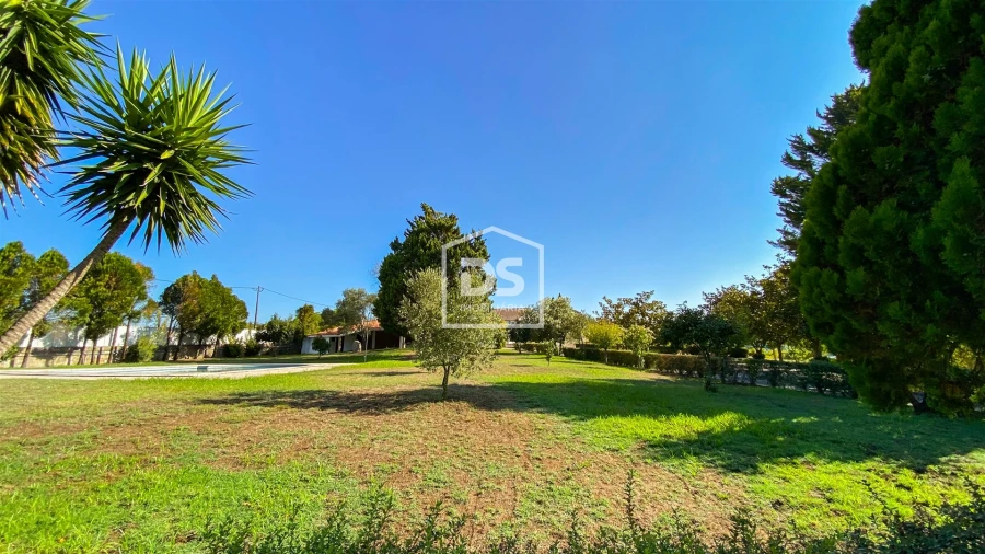 Quinta T9 para Venda em Penafiel Foto 39