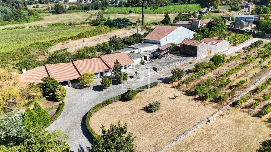 Quinta T9 para Venda em Penafiel Foto 10