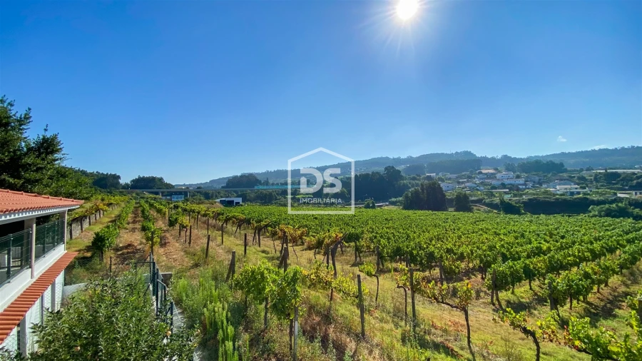 Quinta T9 para Venda em Penafiel Foto 66