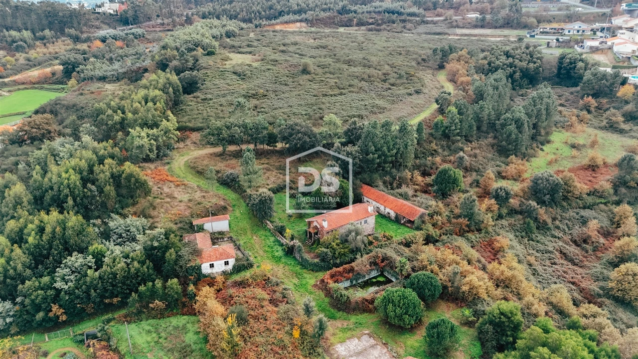 Quinta T5 para Venda em Figueiras e Covas Foto 8