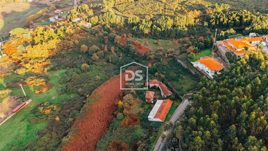 Quinta T5 para Venda em Figueiras e Covas Foto 20