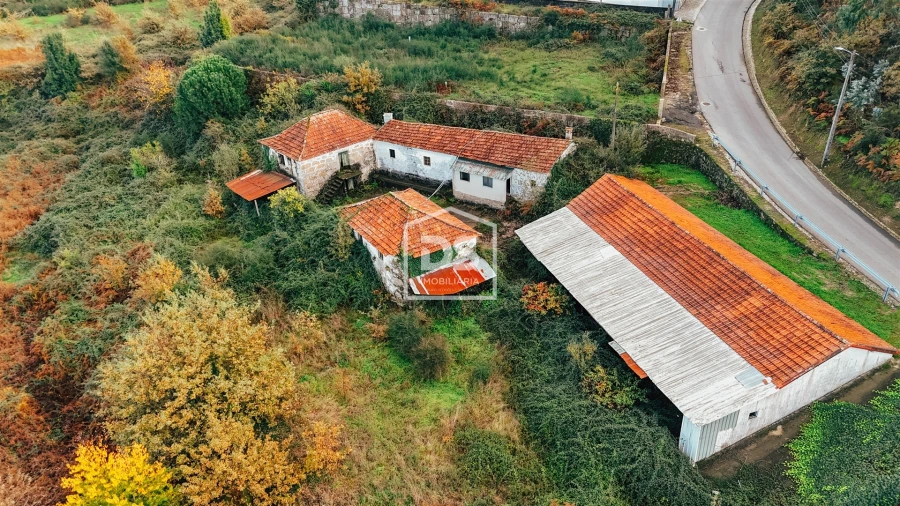 Quinta T5 para Venda em Figueiras e Covas Foto 21