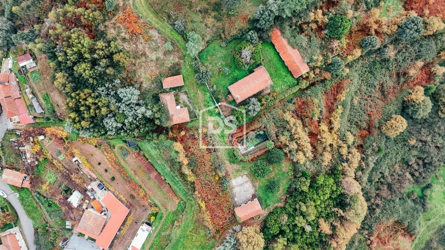 Quinta T3 para Venda em Figueiras e Covas Foto 4