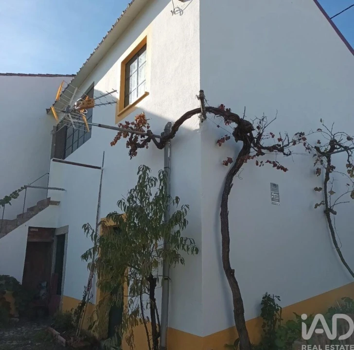 Quinta T5 para Venda em Castelo Branco Foto 5