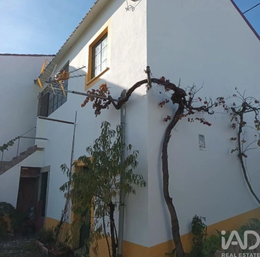 Quinta T5 para Venda em Castelo Branco Foto 5