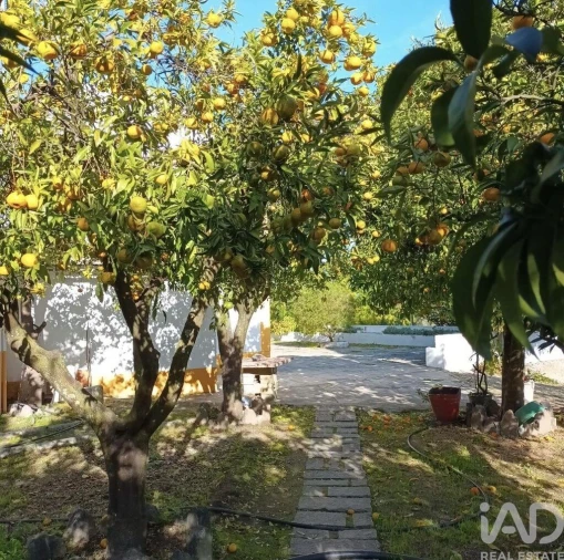 Quinta T5 para Venda em Castelo Branco Foto 3